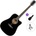 Pasadena PDC-10 Standard SET Black Акустична китара