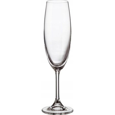 Mondex Skleničky na šampaňské vícebarevné 6 x 220 ml