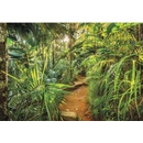 Komar 8-989 Fototapeta Jungle Trail rozměr 368 cm x 254 cm