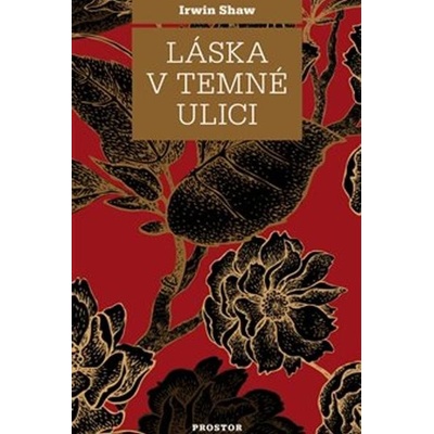 Láska v temné ulici