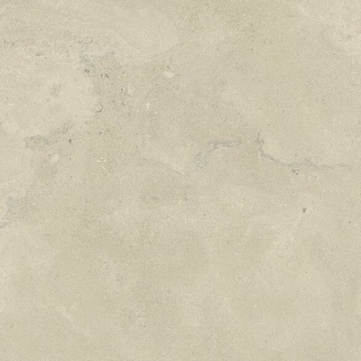 EBS Portlandstone 60 x 60 cm taupe 1,8m²