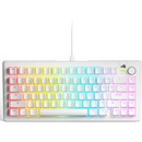 Glorious PC Gaming Race GMMK 3 75 White Fox Linear Switches (GLO-KB-GMMK3-75-PB-FOX-W-WHT-US)