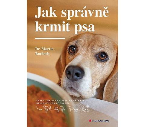 Jak správně krmit psa