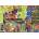 Pieces & Peace - Puzzle Cats on the Pian - 1 000 piese