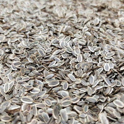 Microgreens Kôpor s vôňou na mikrozeleninu 50 g