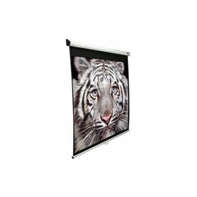 ELITE SCREENS M99NWS1