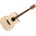 Ibanez PF10CE