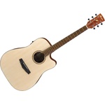 Ibanez PF10CE