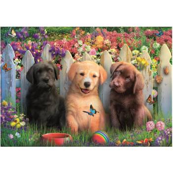 Educa - Puzzle Posing Puppies - 100 piese