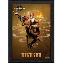 Pixel Frames PLAX Street Fighter 6: Dhalsim 25x30, RET00389