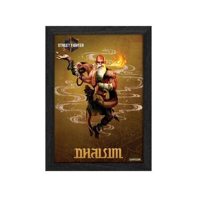 Pixel Frames PLAX Street Fighter 6: Dhalsim 25x30, RET00389