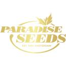 Paradise Seeds AUTO Acid semena neobsahují THC 10 ks