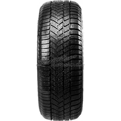 Sunny Wintermax NW211 235/55 R19 105V