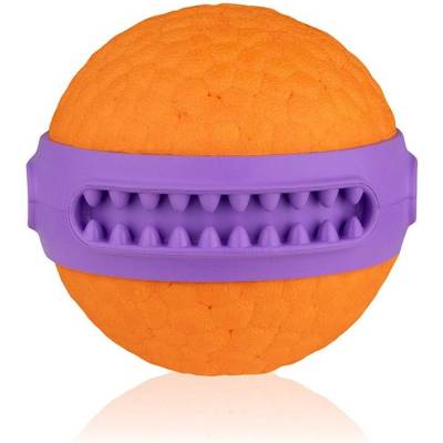 Explorer Dog AirBall Dent 6 cm