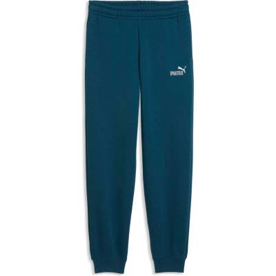 Puma ESSENTIALS 2 COLOR NO. 1 LOGO SWEATPANTS FL B Modrá Bílá