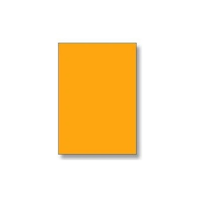 Rayfilm R01331123A 210 x 297 mm 100 etiket oranžová fluo