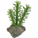 Lucky Reptile 3x Cactus 15 cm