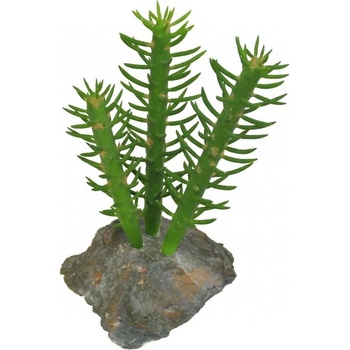 Lucky Reptile 3x Cactus 15 cm