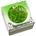 Cryptocoryne parva