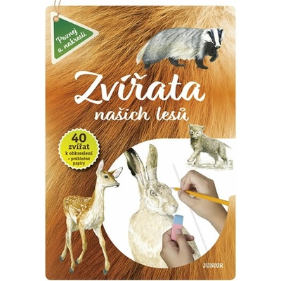 Zvířata našich lesů
