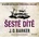 Šesté dítě - J.D. Barker