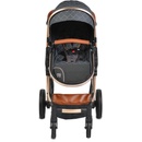 Image 1 of Moni Alma