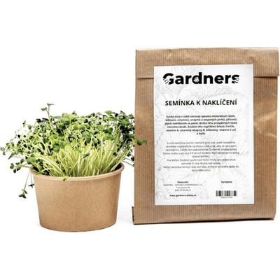 MP Seeds Alfalfa semínka k nakličování 100 g