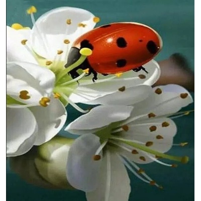 Gaira Diamantové malování Beruška D0974 – Zboží Mobilmania