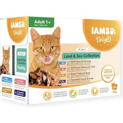 IAMS DELIGHTS Land & Sea Collection in Jelly box 12 x 85 g