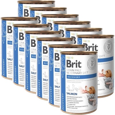 Brit Veterinary Diet Dog & Cat Grain Free Recovery Salmon 12 x 400 g
