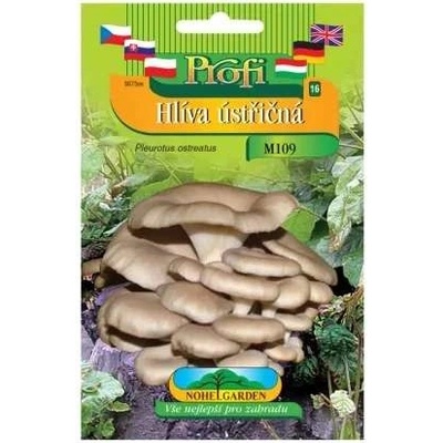 Nohel Garden Hlíva ústřičná Pleurotus ostreatus hnědá forma