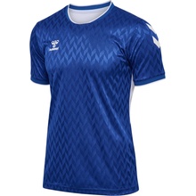 Hummel Authentic Poly jersey dres 204919 7045