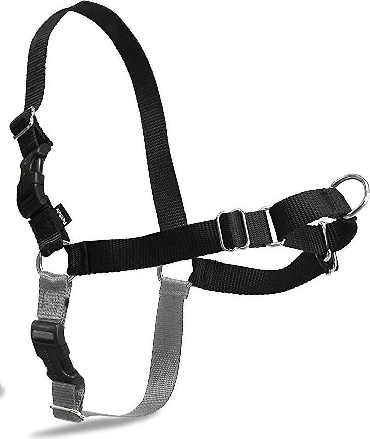 PetSafe Easy Walk Harness