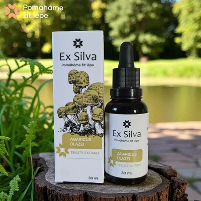 Agaricus blazei Ex Silva Houba života 30 ml