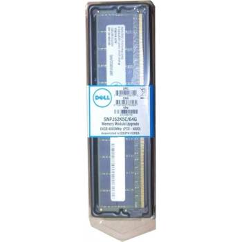 Dell DDR5 64GB 4800MHz CL40 AC517141