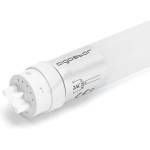 Aigostar LED флуоресцентна тръба T8 G13/18W/230V 6500K 120 см - Aigostar (AI2682)
