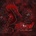 Flood - Closer Than Ever CD