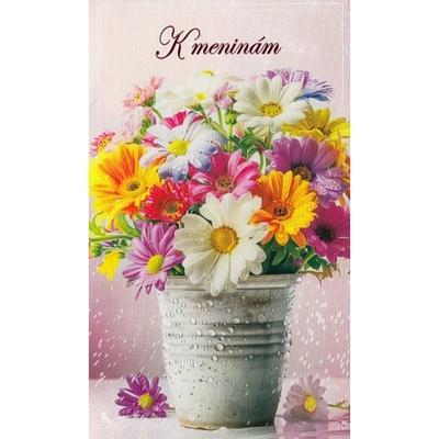 Pozdrav s textom STIVA_B (10-1037) - K meninám