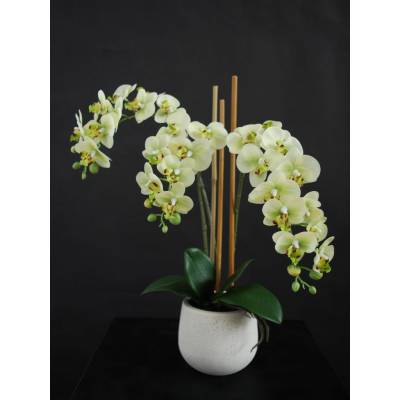 ILA Umělá rostlina Orchidej Phalaenopsis Mini (50cm) - limetka