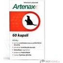 Folio Artenax 60cps