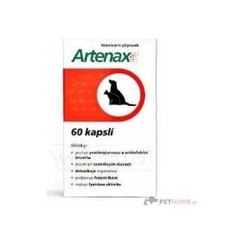 Folio Artenax 60cps