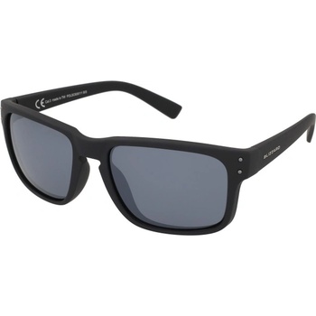 Blizzard POLSC606 111