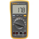 Fluke 17B+