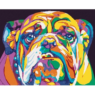 Zuty Malování podle čísel BAREVNÝ BULLDOG