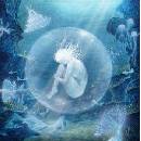 Moriondo Chloe Oyster CD