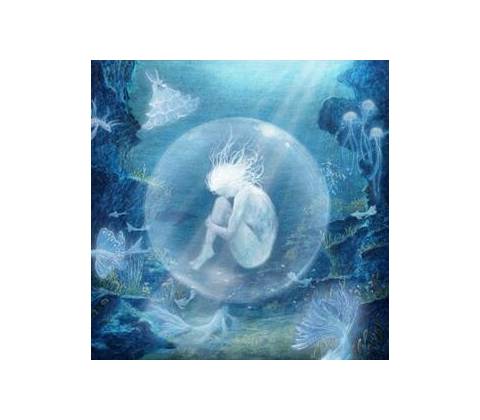 Moriondo Chloe Oyster CD