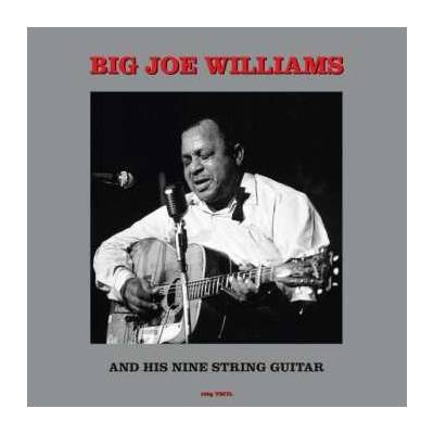 Big Joe Williams - Mississippi's Big Joe Williams And His Nine String Guitar LP