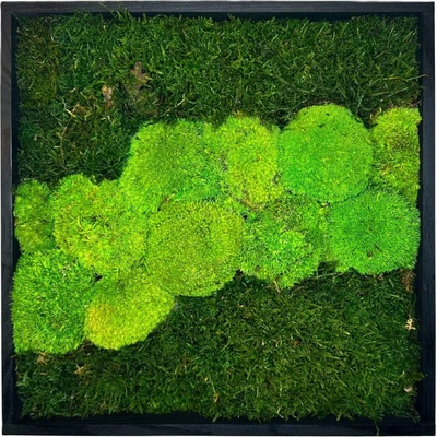 Mechový obraz Quad Velikost: 40x40cm