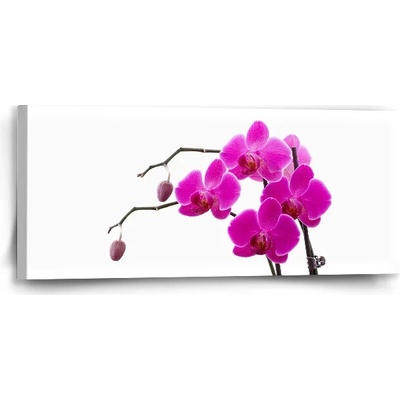 Sablio Obraz Fialové orchidey - 110x50 cm