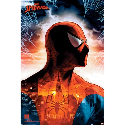 Plagát, Obraz - Spider-Man - Protector Of The City, 61 × 91.5 cm